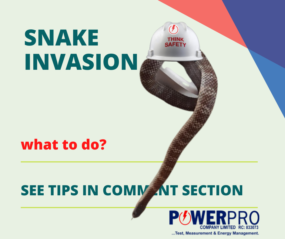 Snake Invasion - Safety tips for factories & our homes